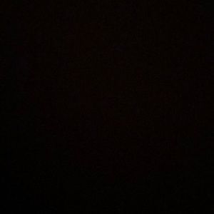 Meet your Posher, Lily